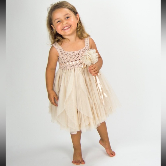 Elegant Beige Cream Tulle Dress New Without Tags